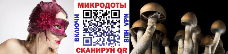 гидра рабочий сайт  Лебедянь  Псилоцибиновые грибы мицелий 